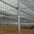 Green PVC Coated Euro Welded Wire Mesh Fence